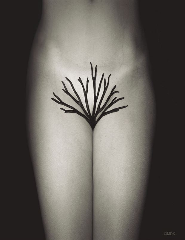 'poetic delta' Artistic Nude Photo by Photographer Mandrake Zp %7C MDK